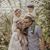 Suzanne Fryer's profile image