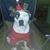 Jenifer Cox's profile image