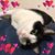 Jackie Griffieth's profile image
