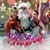 Barbara Anderson's profile image