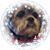 Barbara Reed King's profile image