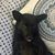Cathy Helms McKellar's profile image