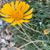 Laurie Bell's profile image