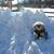 Katie Masich's profile image
