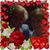 Steven Golnik's profile image