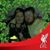 Karen Coyle's profile image