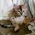 Ginger Oliver's profile image