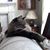 Carol Fatehi's profile image