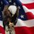 Scott Perry's profile image