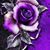 Jan Corey's profile image