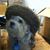 Brenda Clark Testa's profile image