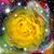 Ada McBee's profile image