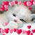 Patsy Pressley's profile image
