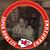 Candy Holden's profile image