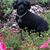 Mary Berns's profile image