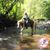 Stephanie M-Bisson's profile image