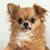 Joseph Hosler's profile image