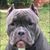Jeff Hilke's profile image