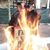 Mark Gomes's profile image