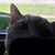 Shannon L Cusick's profile image