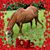 Suzanne Moore Khorramy's profile image