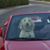 Marianne Grannan McKnight's profile image