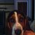 Marianne Zito's profile image