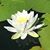 Donna Mae Stohlmann's profile image