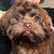 Susanjane Dapper's profile image