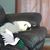 Jamie Spaulding's profile image