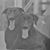 Wayne Hatfield's profile image