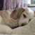 Julie Samples's profile image