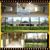 Stecoah Stables's profile image