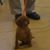 Robert L. Schmitz's profile image