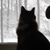 Theresa Hlava's profile image