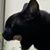Matthew Ryan Robinson's profile image