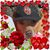 Paula Carrol Karwick's profile image