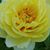 Joan Miller's profile image