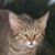 Dave Steiger's profile image