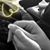 Crystal Lombari's profile image
