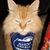 Sally Scime's profile image