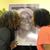 Jennifer B. Waddell's profile image