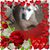 Kimmy Shops's profile image