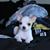 Felipe Rojas's profile image