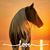 Cyndie Osterlund Fraley's profile image