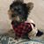 Susan Irvin's profile image