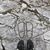 Jenny Percival Wulfric Brian's profile image
