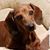 Vicki Ingram-Price's profile image
