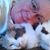 Sherry Bearfield Dodge's profile image