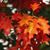 Heather Winters's profile image
